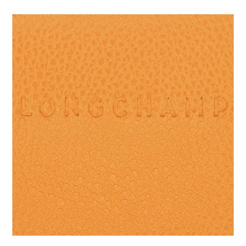 Men's Longchamp Le Foulonné Cardholders Apricot Orange | BGTZJ-5260