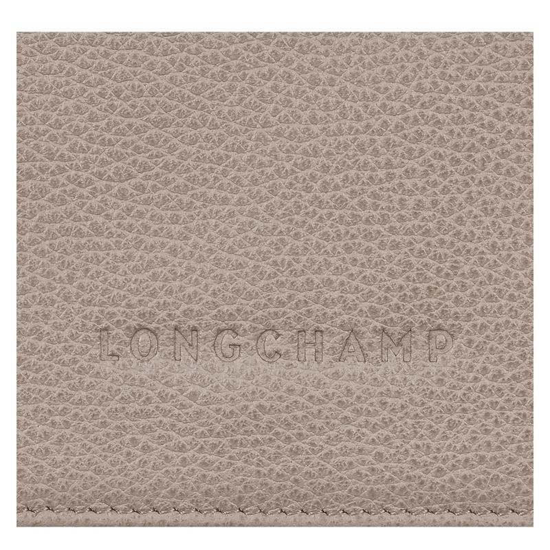 Men's Longchamp Le Foulonné Wallets Turtledove Grey | SZFNA-6973